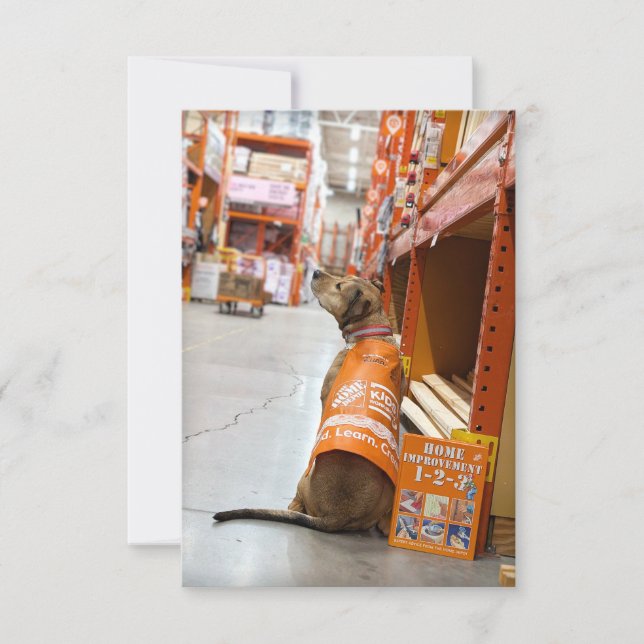 Agradecimento Livro de Melhoramento Doméstico Cartão com fotos E (Frente)