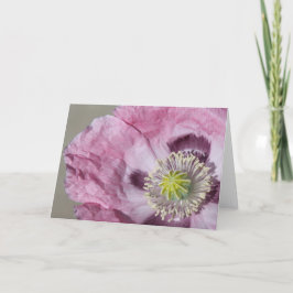 Agradecimento maracujá roxo com foto macro - cartão de vazio