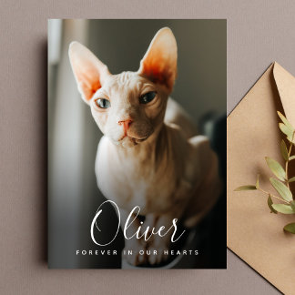 Agradecimento Memorial Pet Cartão de condolências