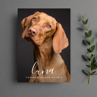 Agradecimento Memorial Pet Cartão de condolências