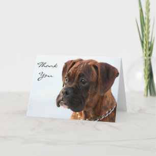 Agradecimento Obrigado Brindle boxer - cartão de saudação