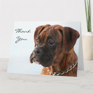 Agradecimento Obrigado Brindle boxer puppy grande cartão de saud