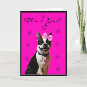 Agradecimento Obrigado cartão de Boston Terrier