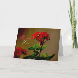 Agradecimento Obrigado Cartão de Flores Vermelhas