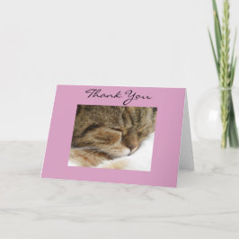 Agradecimento Obrigado Cartão de Gato