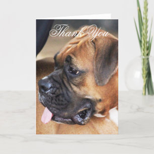 Agradecimento Obrigado Cartão de saudação de cão Boxer
