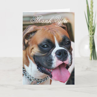 Agradecimento Obrigado Cartão de saudação de cão Boxer