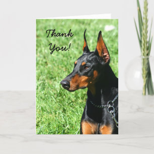 Agradecimento Obrigado Cartão de saudação Doberman Pinscher