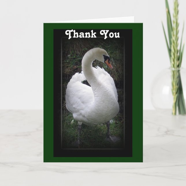 Agradecimento Obrigado - cartão de swan (Frente)
