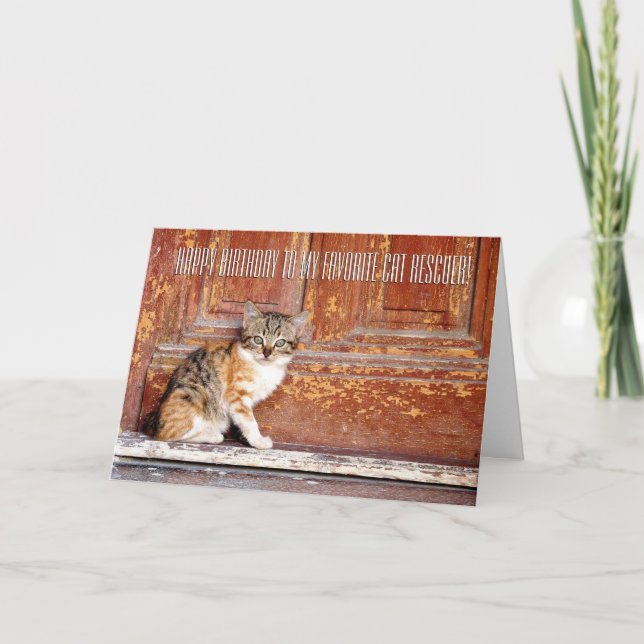 Agradecimento Obrigado Cat Rescuting Cartão de Saudação (Frente)