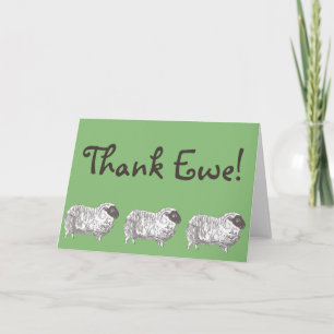Agradecimento Obrigado Ewe! Cartão de saudação de ovelha