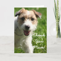 Obrigado Mãe Jack Russell Terrier Cartão De Saudaç