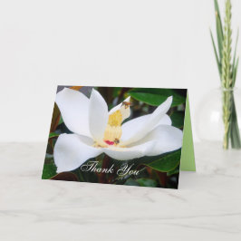 Agradecimento Obrigado Magnolia e Cartão das Abelhas de Mel