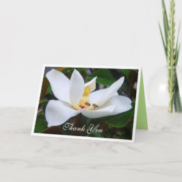 Agradecimento Obrigado Magnolia e Cartão das Abelhas de Mel