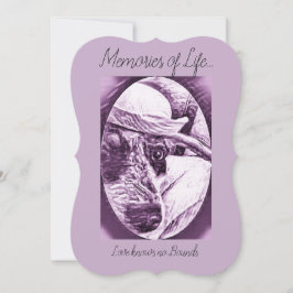 AGRADECIMENTO OBRIGADO PARA O CARTÃO DE INQUIETAÇÃO - PERDA DE