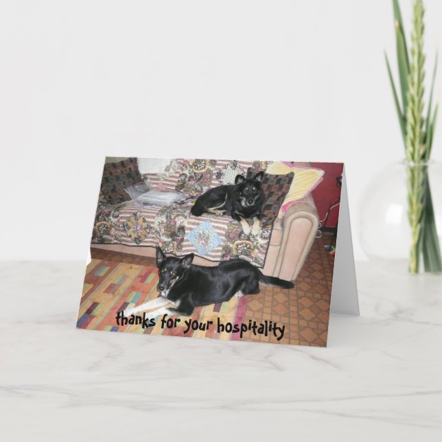 Agradecimento Obrigado pelo cartão de hospitalidade (cães) (Frente)