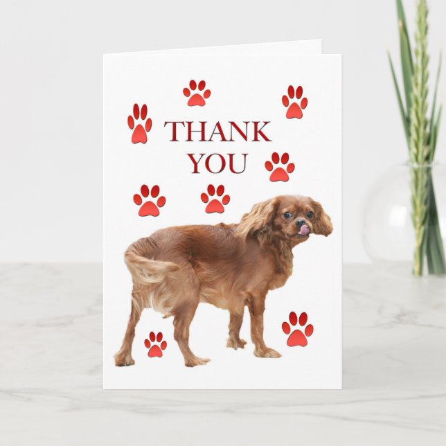 Agradecimento Obrigado Pelo Cartão De Saudação Da Refeição (Frente)