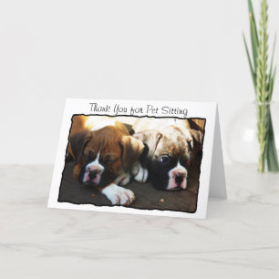 Agradecimento Obrigado pelo cartão de saudação Pet Sitting Boxer