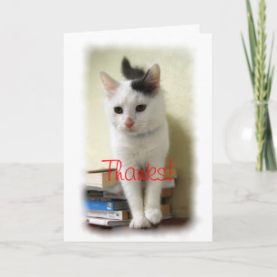 Agradecimento Obrigados, Professor, Kitten no Cartão de Livros