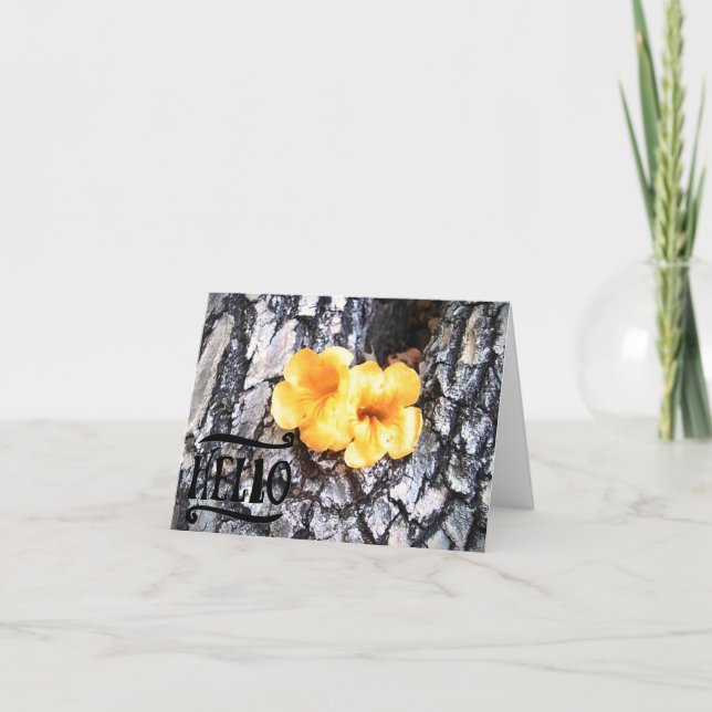 Agradecimento Olá, Cartão de Saudação de Vazio com Allamanda Ama (Frente)