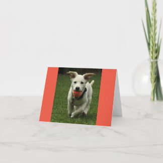 Agradecimento Puppy com cartão de Ball Birthday