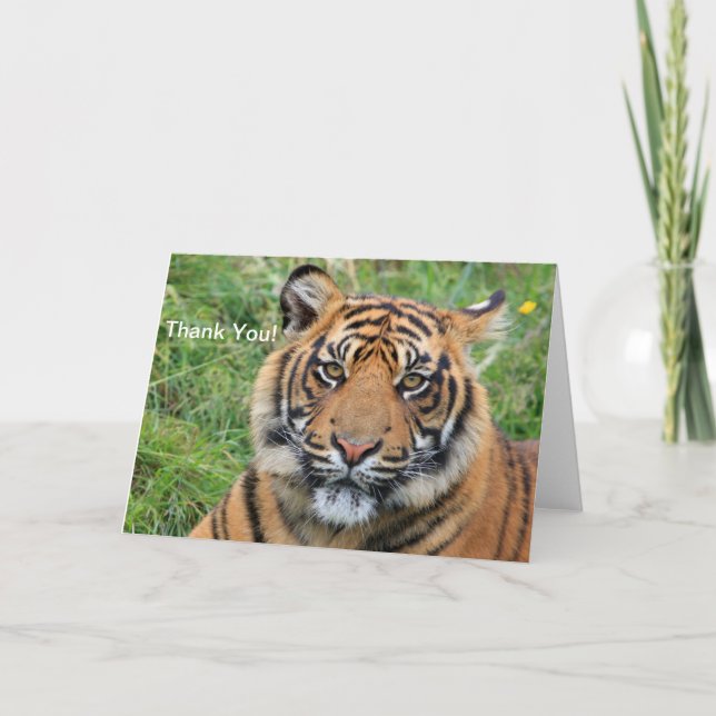 Agradecimento Tiger - Obrigado Cartão de Saudação (Frente)