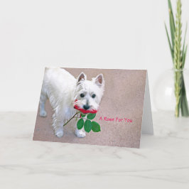 Agradecimento "Um Rosa para ti", cartão de boas-vindas