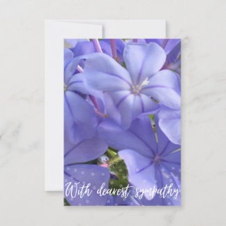 Agradecimento Uma dica de cartão Z "com mais simpatia"