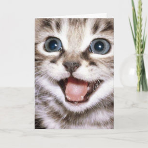 Agradecimento Você é o máximo! Cartão engraçado de gato