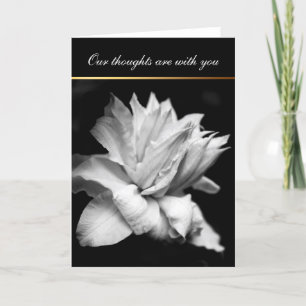 Agradecimento White Clematis 1 Cartão de condolências de Condolê