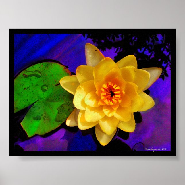 ÁGUA AMARELO LILY, IMPRESSÃO (Frente)