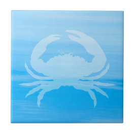 Água azul clara do mar com caranguejo