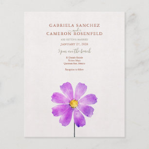 Água Floral Cosmos Margarida Terracota Casamento