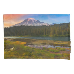 Água Parque Nacional do Mt. Rainier, Washington