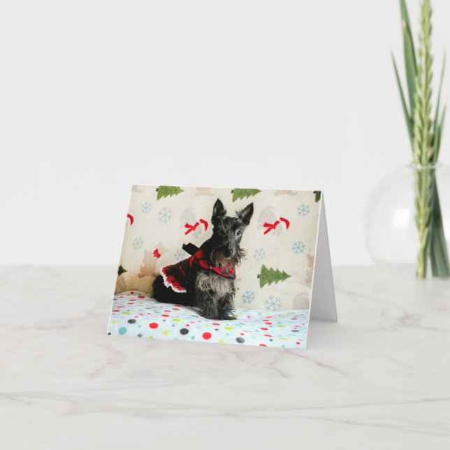 Aguardando cartão de Natal (Frente)