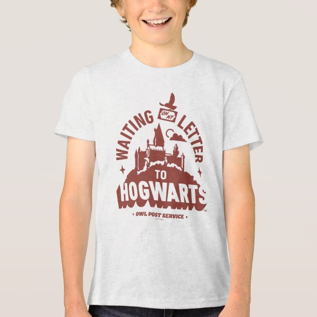 Aguardando minha Carta para HOGWARTS™ (Frente)