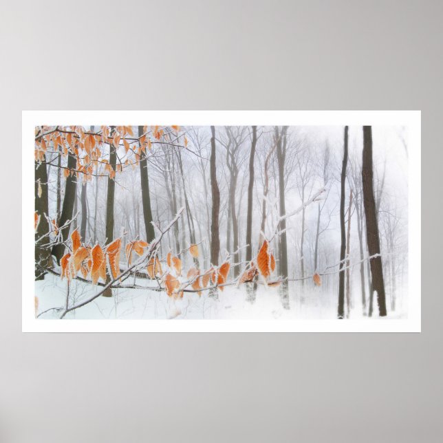 Aguardando, poster (Frente)