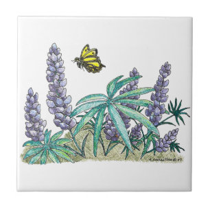 Aguarela do Lupine de Alaska