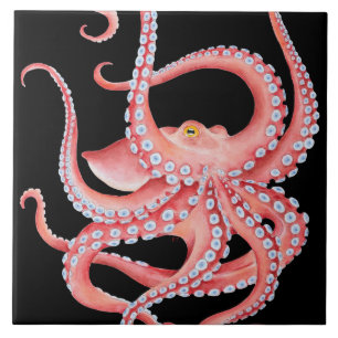 Aguarela vermelha do polvo no preto