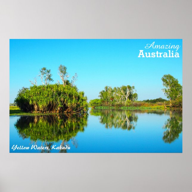 Águas Amarelas, poster de Kakadu (Frente)