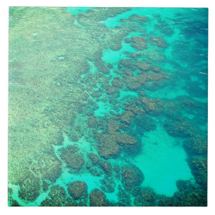 Águas oceânicas de turquesa cerâmica de coral