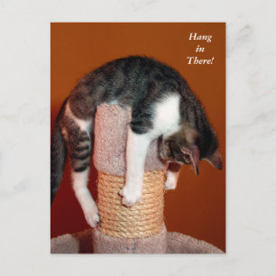 Aguente firme cartão postal de gato malhado humorí