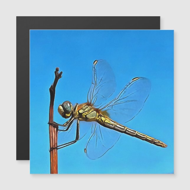 Aguente Lá, Dragonfly Artística (Frente/Verso)