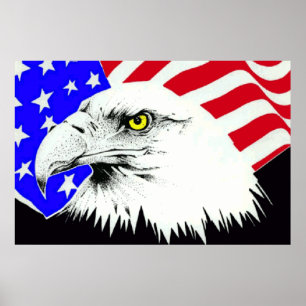 Águia americana 4o do poster 1 de julho