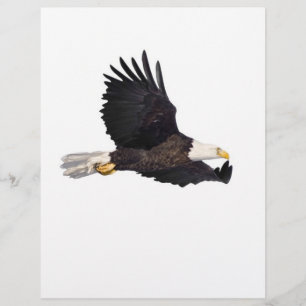 Águia americana americana