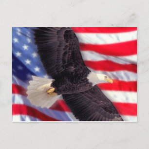 Águia Americana com cartão postal da bandeira amer