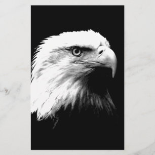 Águia americana preta & branca