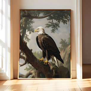 Águia Careca Poster Arte Impressão, Animal Arte Re