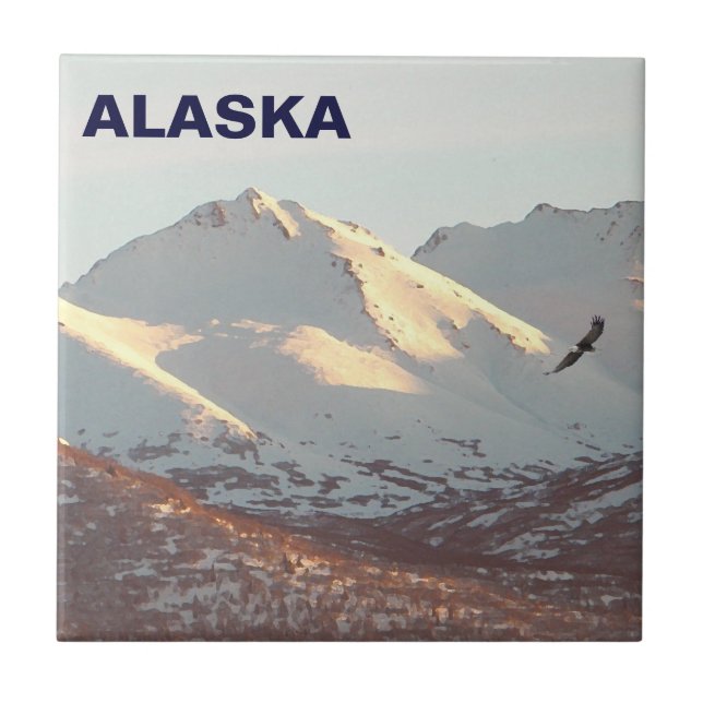 águia-de-inverno (Frente)