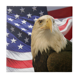 Águia e Bandeira Americanas